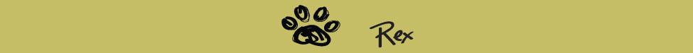 This is a link to Rex's Page